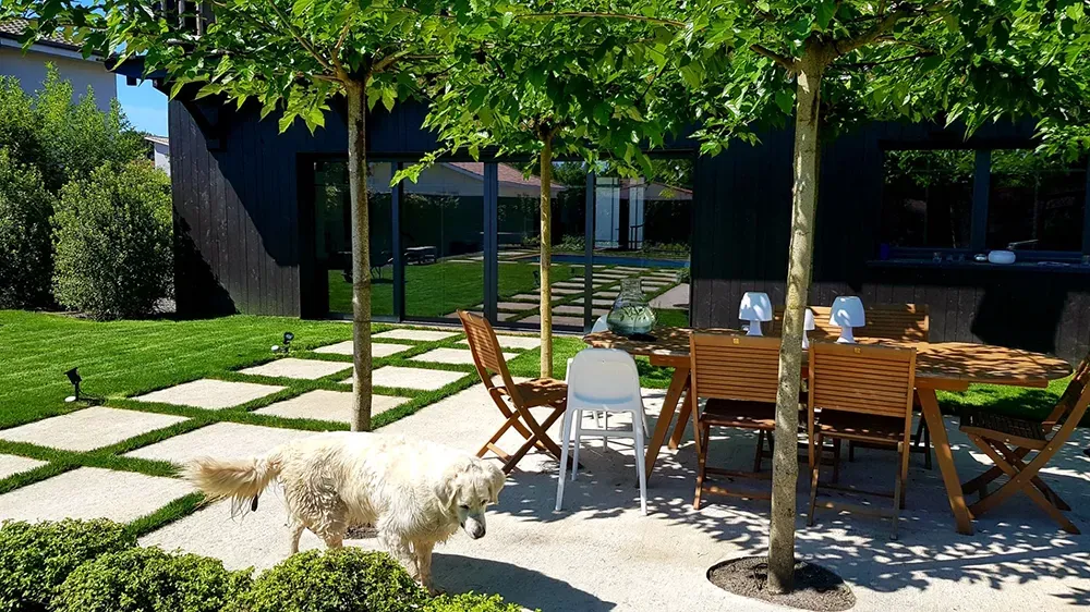 Projet 3 - Baguera_MA ARCHITECTURE 1