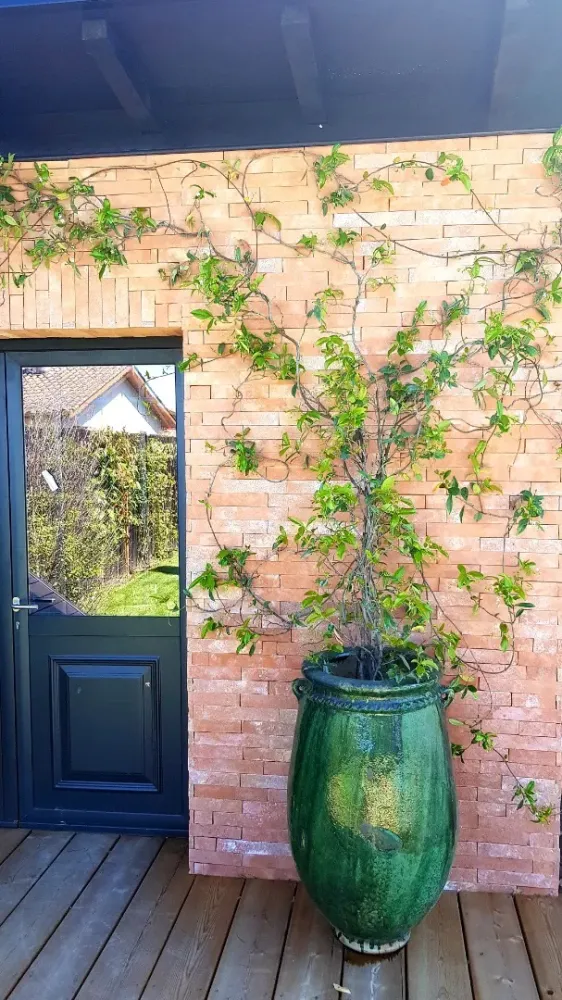 Projet 3 - Baguera_MA ARCHITECTURE 2